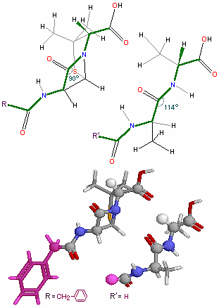 分子の重ね合わせ 4 ペニシリンとd アラニル D アラニン