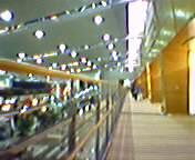 �����������i�����c
�����K���ɃQ�[���Z���^�[����