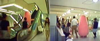 �����S�Z�u���قɂ�