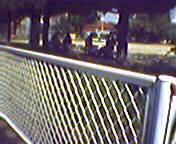 �̈�̓��̌����ɂ�