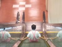 �G�X�J���[�^���ʃp�l����
���΂��񂪉f�荞��ł���c