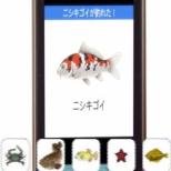 �e���r�R�}�[�V�������