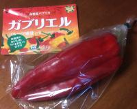 �c�t�����e����ōw��