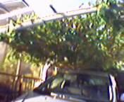 �Ƃ̋ߏ��ɂ�