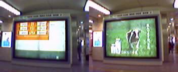 �����É��w�R���R�[�X
�������[����
�E�����[����