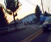 �t����s��