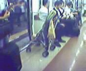 �i�q�ԓ��c