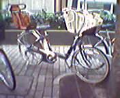 �����_�[�X���[���Ă�������ˁc