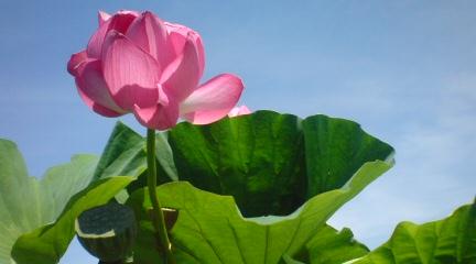 �����s�ɂ�